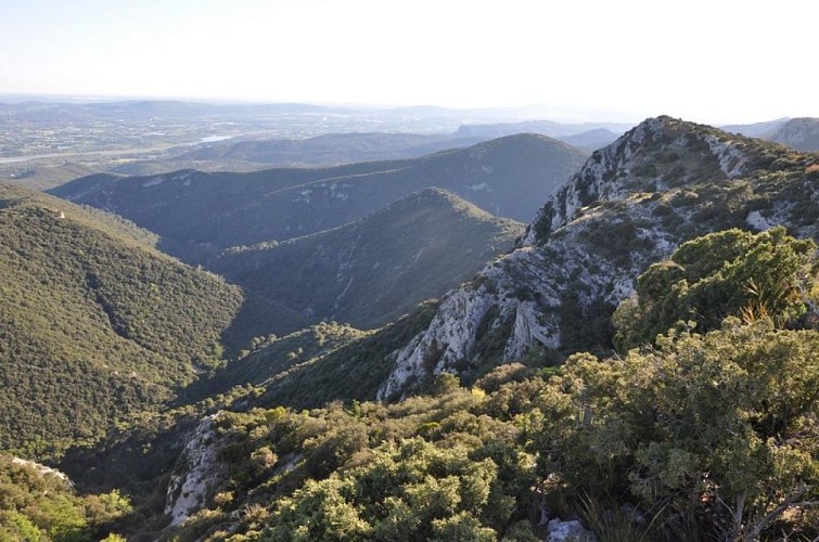 Matorral du Portalas