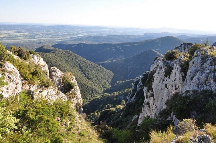 Vallon du versant sud