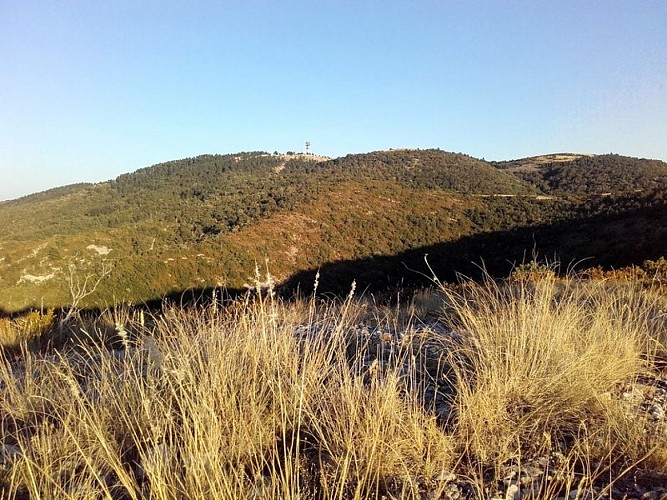 Le Mourre Nègre depuis le Coteau de Bruny