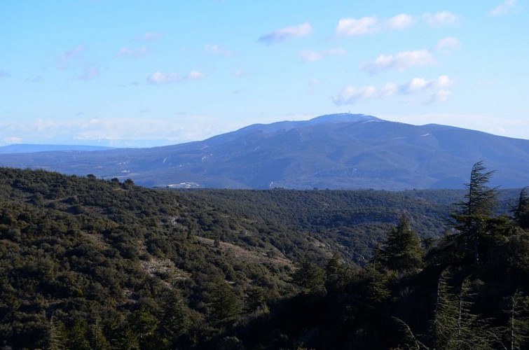 Le Grand Luberon depuis le sentier du Portalas