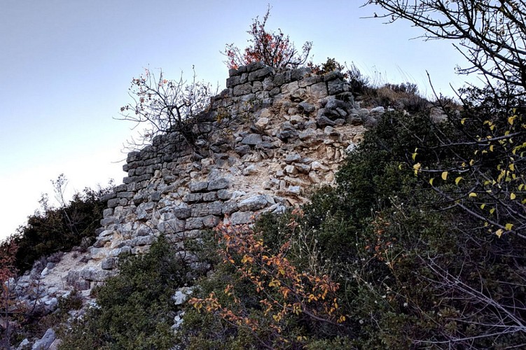 Vestiges du château d'Ubrieux