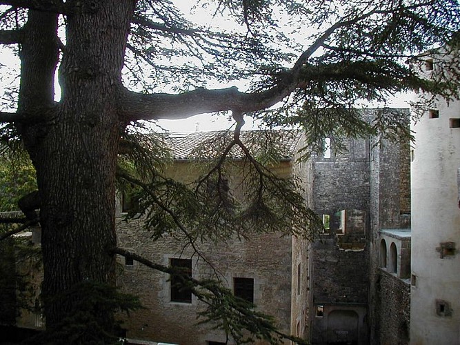 Cour intérieure du Château de Buoux