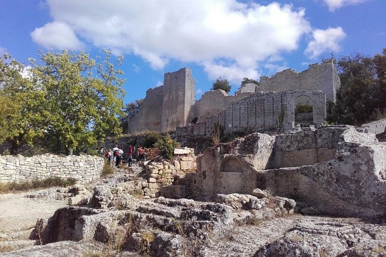 Remparts du fort de Buoux