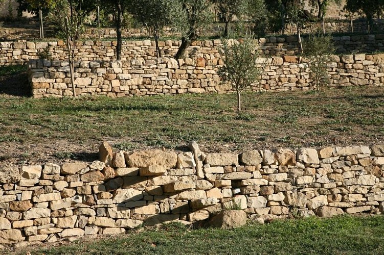 Murs de cultures en terrase