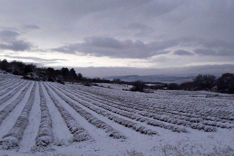 Plateau des Claparèdes