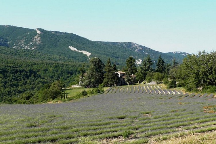 Ferme de Salen et Grand Luberon