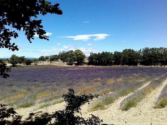 La ferme de Vansorgues (privé, ne se visite pas)
