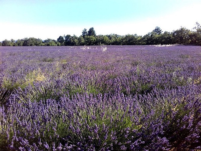 Patience and recycling