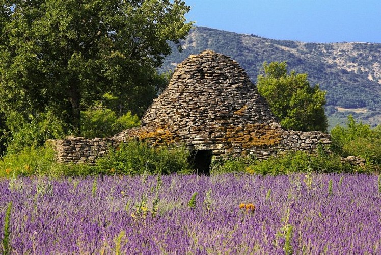 Borie sur le plateau des Claparèdes