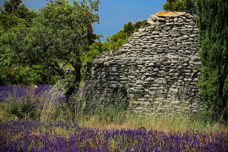 Borie sur le plateau des Claparèdes