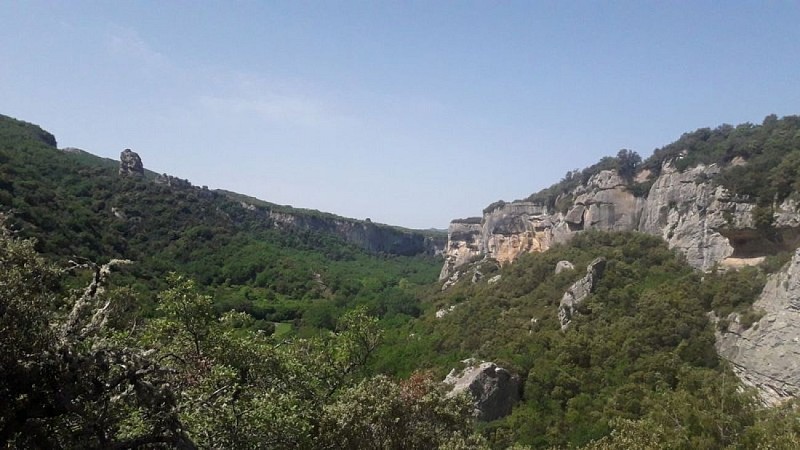 Vallon de l'Aiguebrun