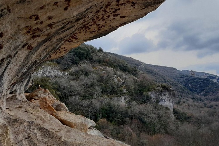 Baume du vallon de l'Aiguebrun