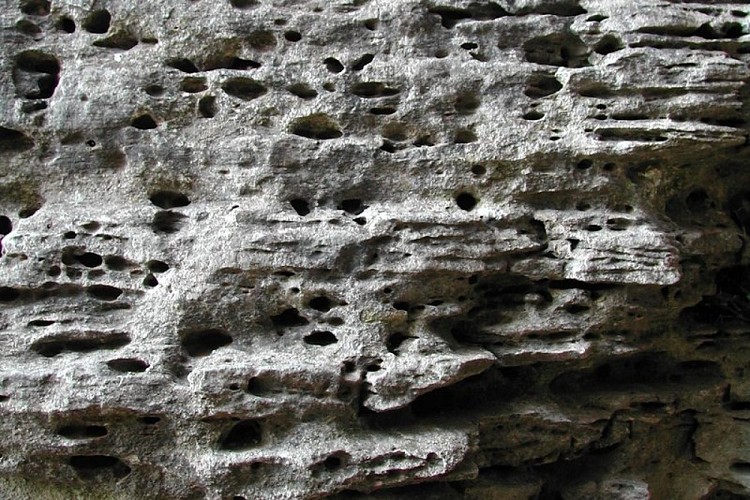 Molasse de Buoux