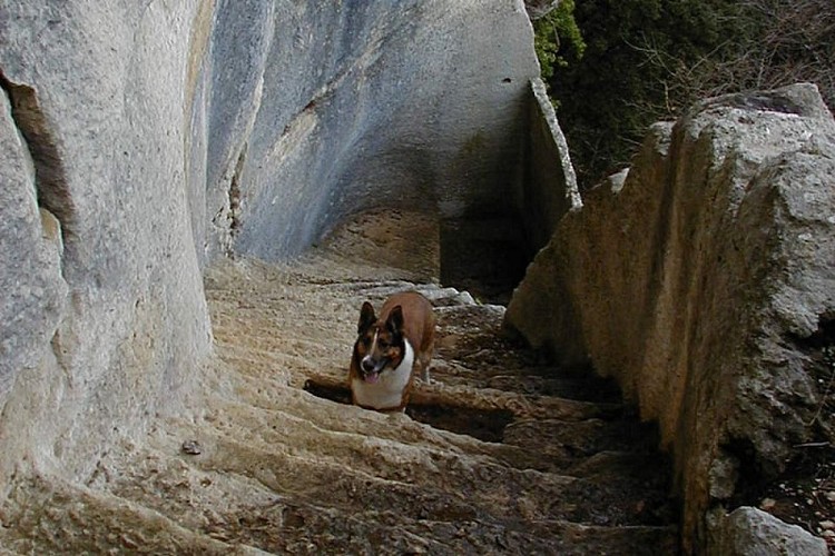 Escalalier dérobé du Fort de Buoux