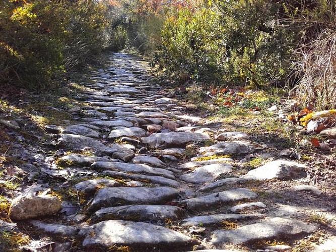 Calade : pierres sèches disposées sur la tranche