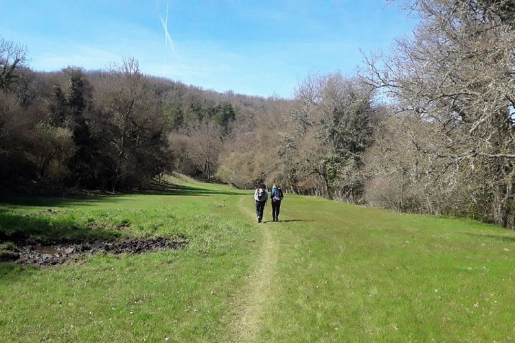 Prairie de l'Aiguebrun