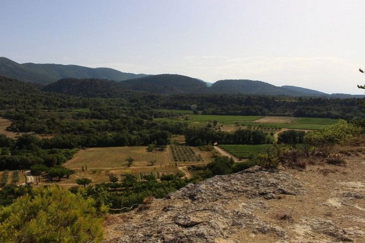 Collines de l'anticlinal