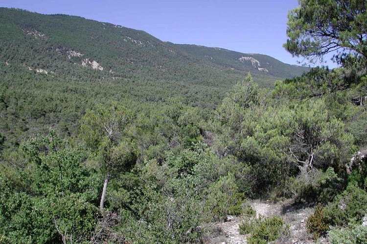 Coeur érodé du Luberon