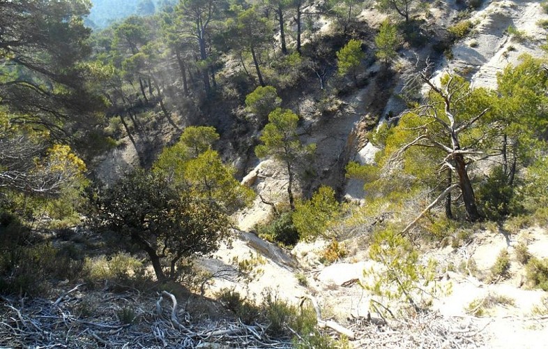 Talwegs du Jas de Pécou