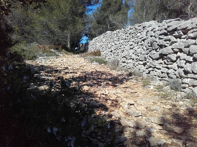 Section de mur restaurée