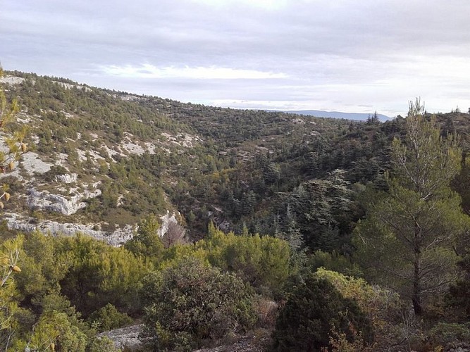 Vallon des Esperacons