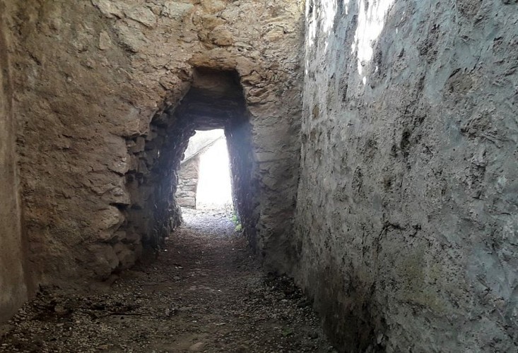 Passage couvert de Saint-Louis
