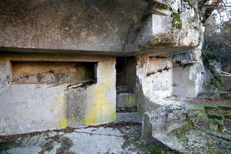 Niche et escaliers taillés de Carluc
