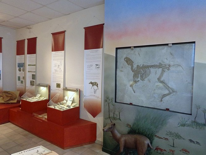 Musée Pierre Martel