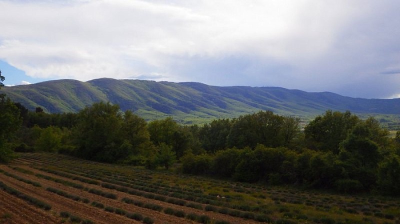 Les rondeurs du Grand Luberon