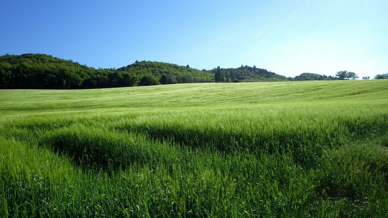 Champs de la vallée de l'Encrême