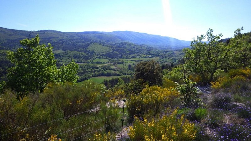 Cortège de fleurs sur les crêtes