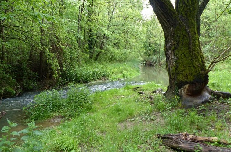 Rives de l'Encrême sour le Nid d'Amour