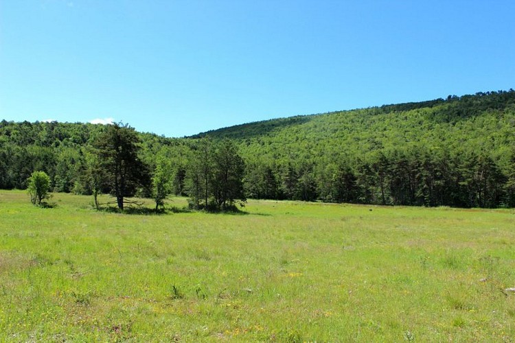 Chemin en bordure du camp militaire