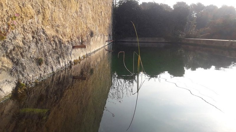 Bassin du chemin du moulin