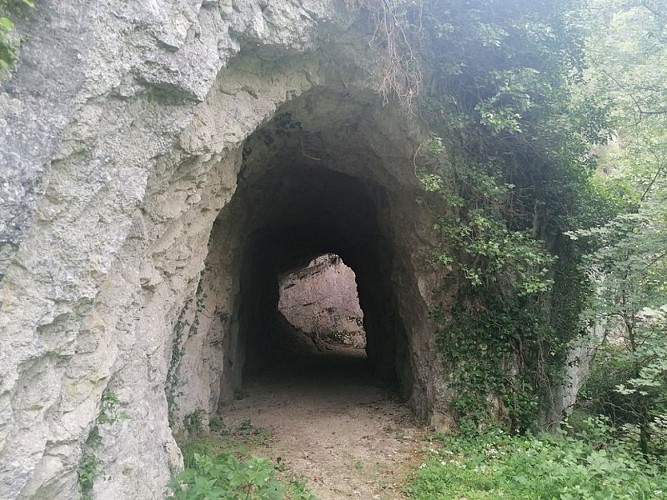 Tunnel creusé dans la roche