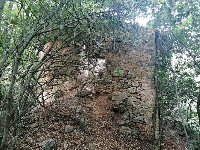Habitation en ruines à la Rouyère