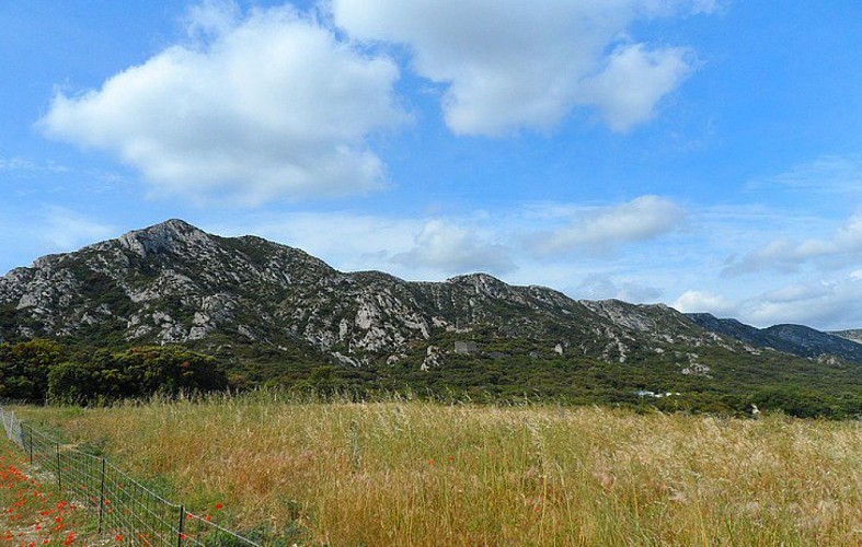 Les ruines du château au pied du piémont