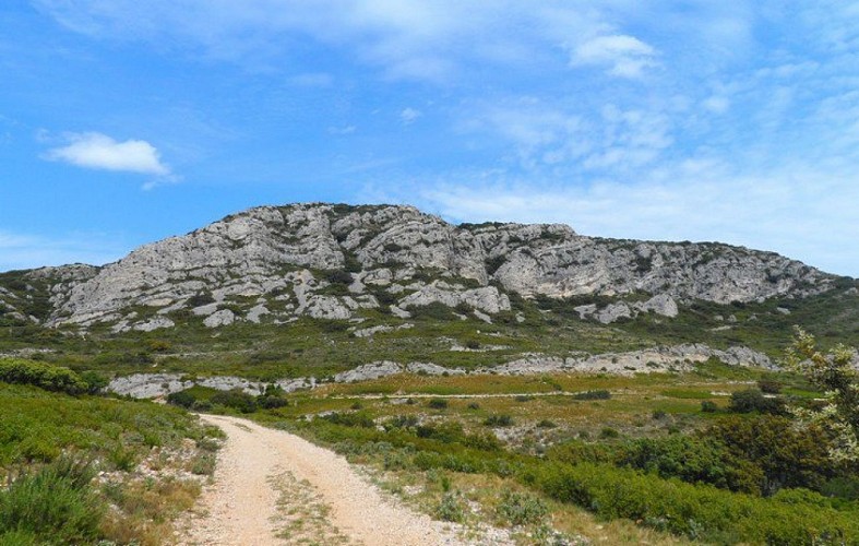 Le piémont sud vu du chemin de Baume Brignolle