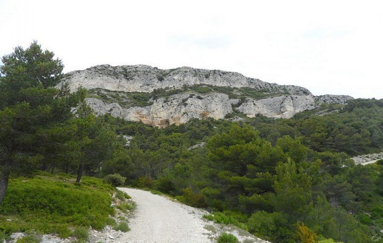 Le plateau vu du chemin de Baume Brignolle
