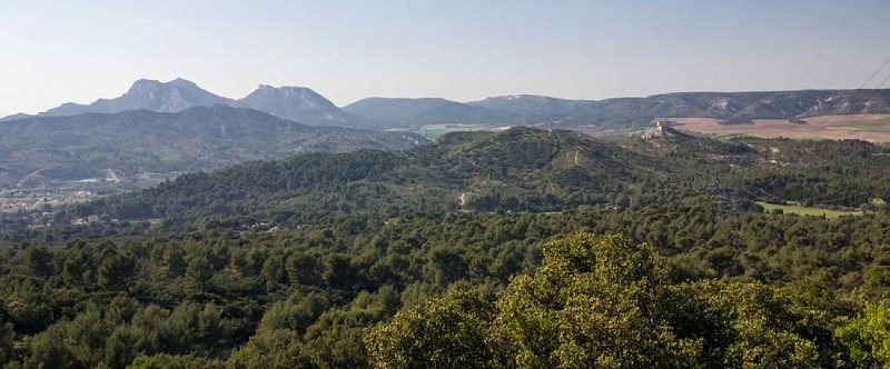 Vue sur la colline du Castellas de Roquemartine et les Opies
