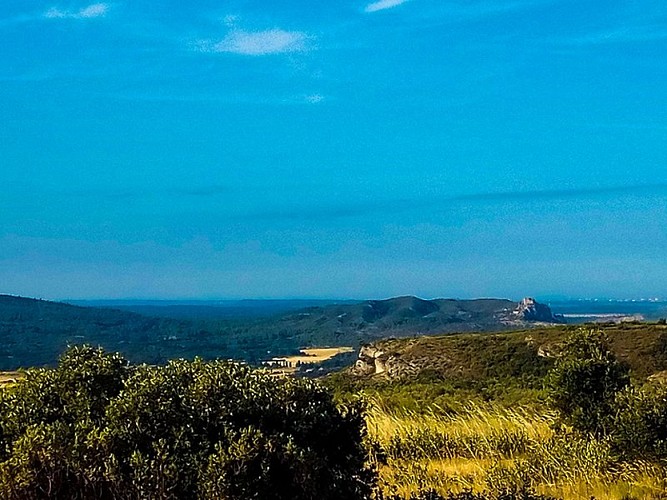 Plaine de Roquemartine et le Castellas