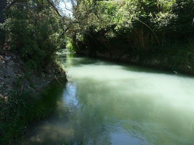 Canal de la Vallée des Baux à Eyguières