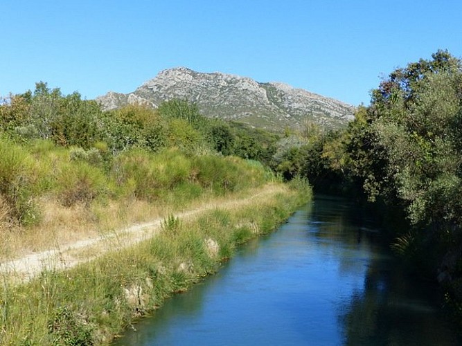 Canal de la Vallée des Baux et les Opies