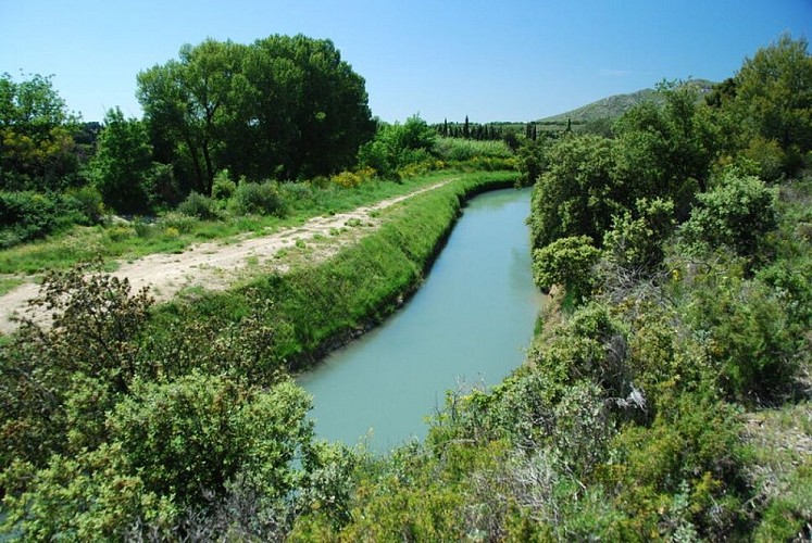 Canal de la Vallée des Baux à l'entrée du Vallon des Glauges
