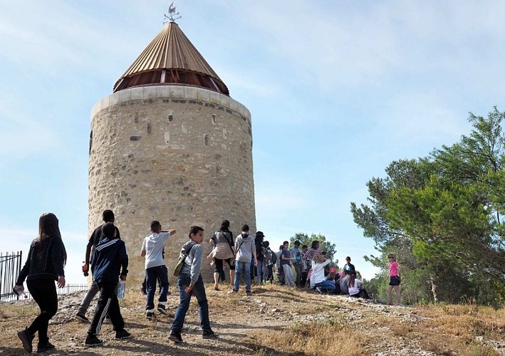 Le moulin Sourdon_Fontvieille