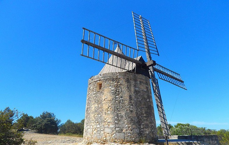 Le moulin de Daudet