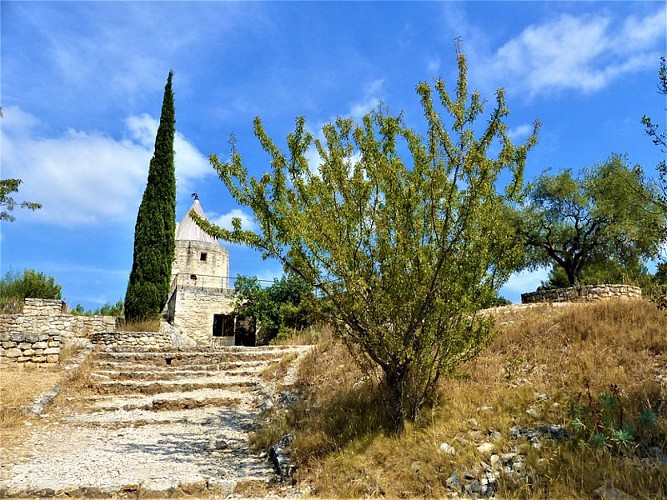 Petit amandier sur la route des moulins