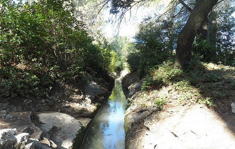 L'eau de la Durance guidée par le canal