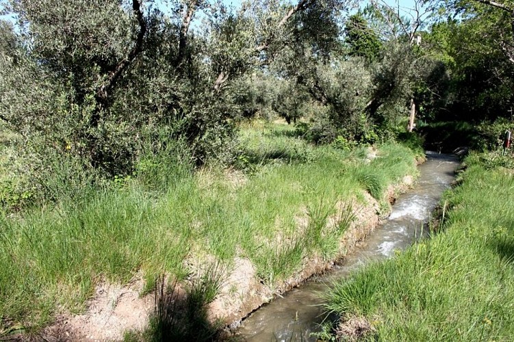 Canal de la Vallée des Baux