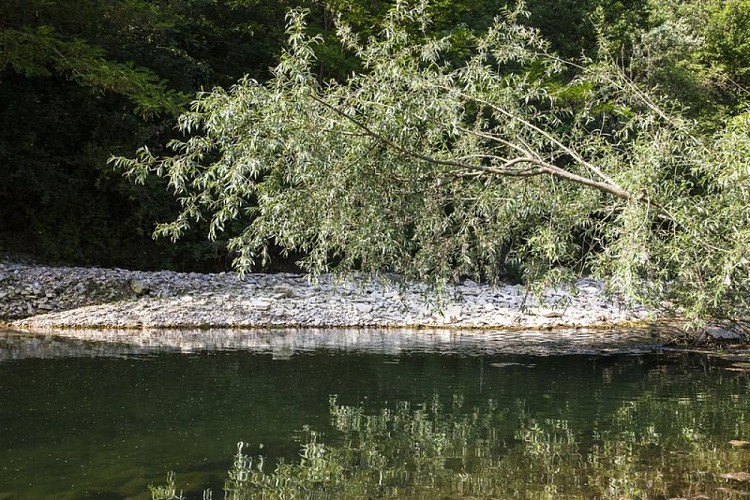 Confluence Largue Laye